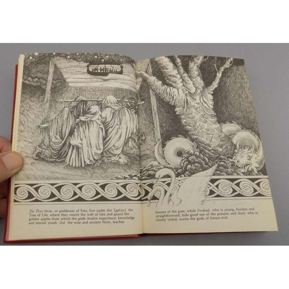 Rune Cards description book